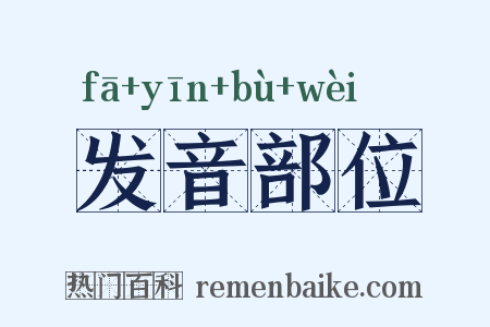 发音部位是什么意思的图片